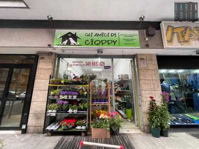 I negozi di animali di Bari